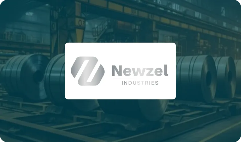 Newzel industries Case Study banner