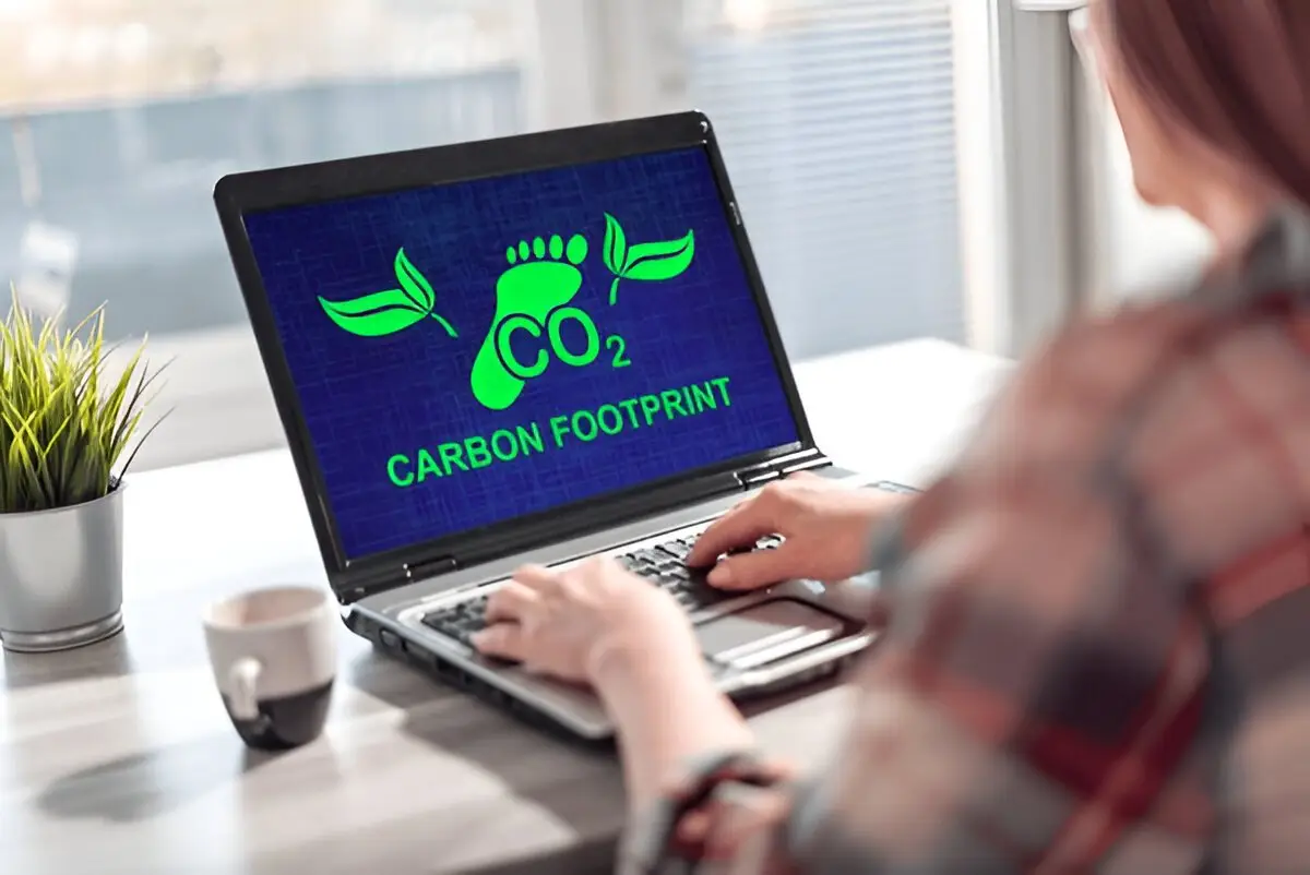 carbon management
